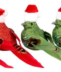 1694 KLAMMERN CHRISTMAS BIRDS S/6